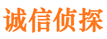 连云调查事务所